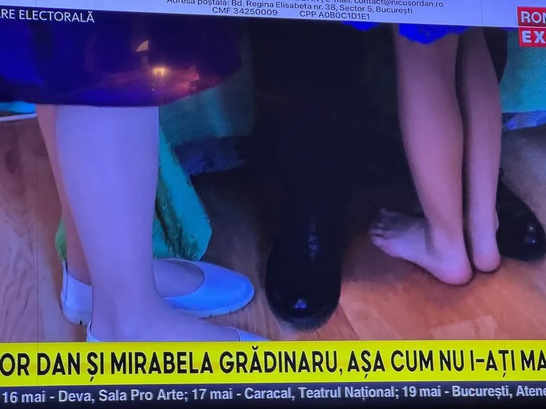 Păpușa Sistemului